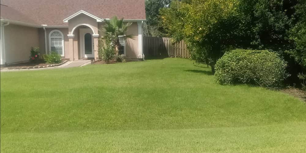 Irrigation / sprinkler system installation