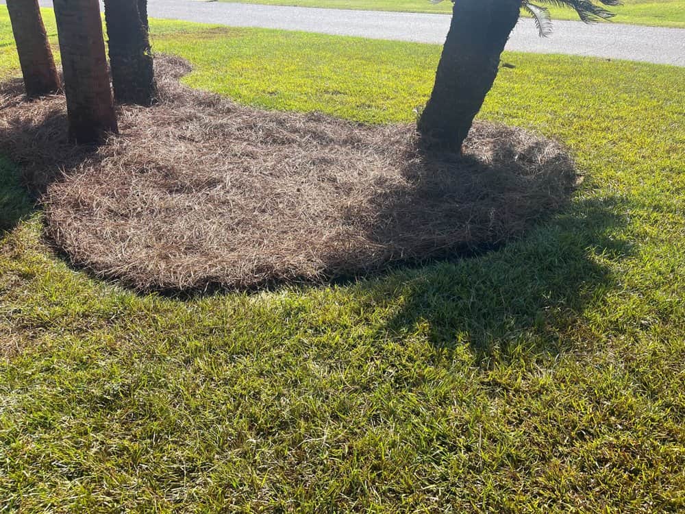 Lawn care / lawn maintenance